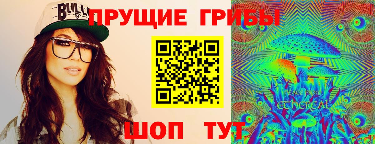 Галлюциногенные грибы Psilocybe  Галлюциногенные грибы GOLDEN TEACHER  Анжеро-Судженск  Вход с VPN 